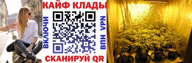 Купить закладку АМФЕТАМИН  Марихуана  Alpha PVP  Меф мяу мяу  ГАШИШ  Ессентукская