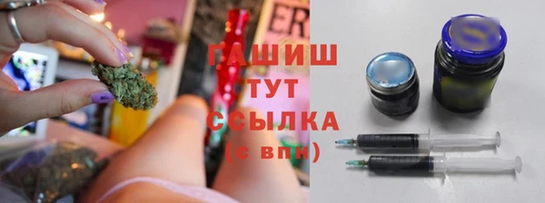 стаф Алексин