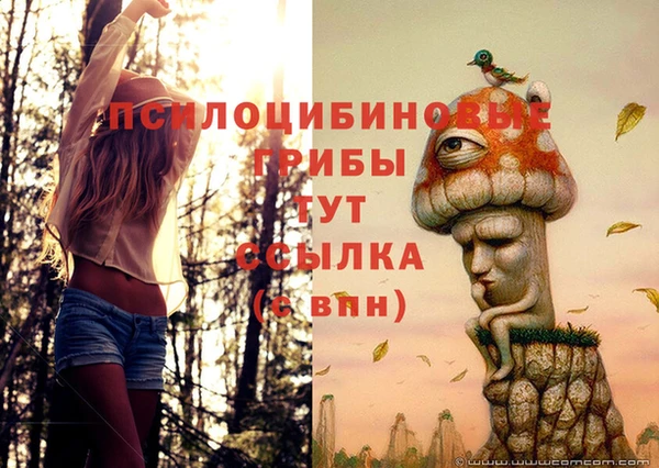 стаф Алексин