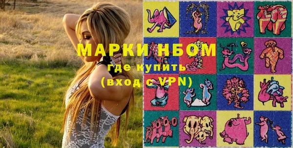 стаф Алексин