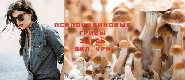 соль курить ск Алексеевка