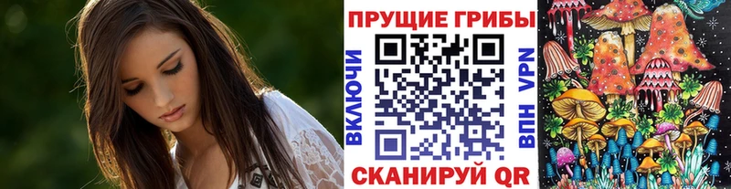 Галлюциногенные грибы Psilocybe  Купить закладки  Ессентукская 